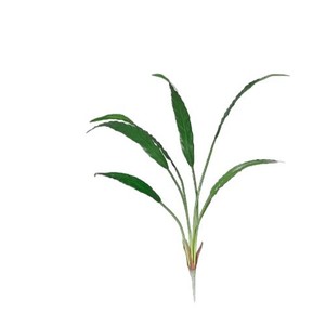 Planta Artificial Greenway de 7 Cabezas con Hojas de Nido de Fénix, 30cm-100cm, Decoración Interior, Ramo de Flores de Seda, Helechos, Hojas Brasileñas - Product Image 1