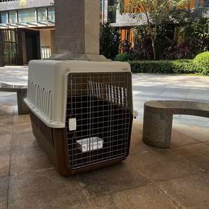 Cage <span class=keywords><strong>de</strong></span> <span class=keywords><strong>transport</strong></span> pour animaux <span class=keywords><strong>de</strong></span> compagnie en plastique PP, grande cage <span class=keywords><strong>de</strong></span> <span class=keywords><strong>transport</strong></span> pour animaux <span class=keywords><strong>de</strong></span> compagnie avec roues, conforme aux normes <span class=keywords><strong>de</strong></span> <span class=keywords><strong>transport</strong></span> aérien - Product Image 5
