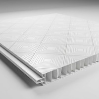 Paneles de Techo de PVC de Instalación Rápida, Revestimiento de Pared de Plástico Encastrable