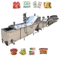 Stérilisateur pasteurisé pour bain d'eau personnalisé pour pochette de pasteurisation Doypack jus/lait/cornichons/saucisses/sauces/aliments à base de viande