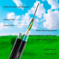 Antena GYTC8S Figura blindada Fig8 Cable de fibra óptica Banda de colores Vitta 4 8 12 24 48 96 Core G652D Ftth Cable de caída de fibra óptica