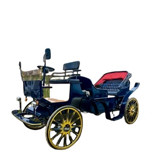 Voiture de tourisme électrique convertible à toit ouvert avec sièges en cuir imperméables et pneus pneumatiques/solides - Modèle Noble Tourist - Product Image 1