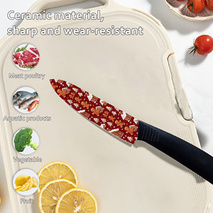 Nuevo Diseño, 5 Juegos de Vajilla de Cerámica Estilo Japonés, Apta para Lavavajillas, Fabricada en Fábrica, Entrega Rápida, Tienda de Comercio Electrónico Shopify - Product Image 3