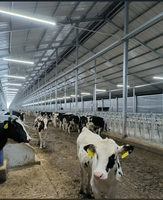 Lampes de grange LED T16 dimmables 80W avec contrôle intelligent RS485 pour l'éclairage des étables laitières, garantie 5 ans, indice de protection IP67, anti-impact