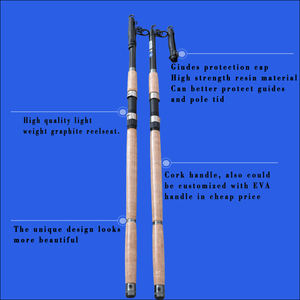 Canna da Pesca Telescopica in Carbonio 3m con Manico Composito Super Resistente per la Pesca a Spinning in Lago e Fiume - Product Image 2