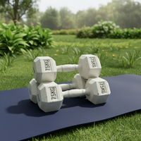 En gros Ensemble d'haltères hexagonales en fer et caoutchouc pour usage commercial, fitness, Pilates et musculation, poids libre