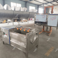 Industriële elektrische grote capaciteit automatische fruit-, groente-, gember- en cassave-was- en schilmachine