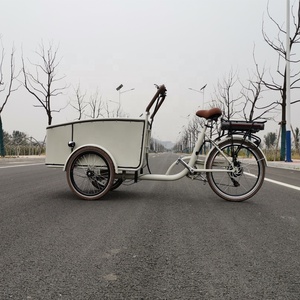 Bicicletta Elettrica a 3 Ruote Stile Olandese con Pedalata Assistita per Uso Familiare e Trasporto Bambini, Prodotta in Cina - Product Image 5