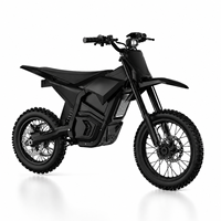 Moto tout-terrain électrique 2600W IN10, 40 MPH, 48V, batterie amovible 23.4Ah, freins hydrauliques doubles hors route pour adultes et adolescents