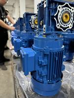 Réducteur de vitesse à vis sans fin Moteur à induction à courant alternatif triphasé Moteur de vitesse à engrenages 230/400V