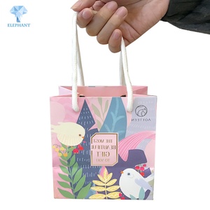 Sac en papier biodégradable personnalisé avec poignée, petit format - Product Image 1