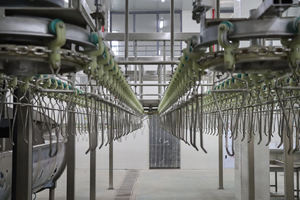 Grillete de Acero Inoxidable para Sacrificio de Aves - Product Image 5