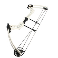 SPG chasse arc à poulies 55lbs alliage réglable adulte extérieur tir à l'arc divertissement flèche cible tir dispositif d'entraînement