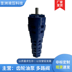 Bomba de engranajes serie CBGJ de Shengzhou Hydraulics 25*32*32*16 para plataforma de perforación, martillo perforador y grúa - Product Image 5