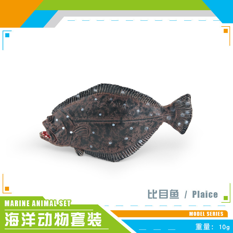 colorato PL127-3040 Halibut 10g