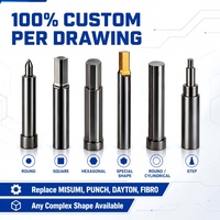 Punzón de Carburo de Tungsteno de Alta Precisión, Punzón de Micropunzonado ±0.001mm, Acabado Espejo, Pieza de Molde de Carburo Personalizada, Reemplazo para MISUMI