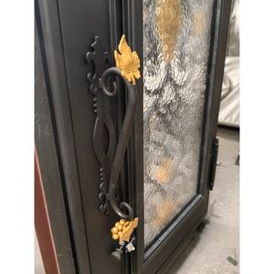 Donner un coupon en espèces de 500 $ nouveaux modèles de porte de fenêtre en fer - Product Image 3