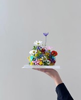 Bunga Kering Alami Grosir Lavender & Bunga Cengkeh untuk Hari Ibu, Pernikahan, dan Dekorasi Pewangi
