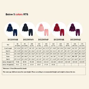 Conjunto de Ropa Deportiva de Terciopelo con Estampado Personalizado para Niñas, Chaqueta con Cierre, Conjunto de Sudadera para Niños de 1 a 13 <span class=keywords><strong>Años</strong></span>, Conjuntos de Ropa de Invierno para Niños al por Mayor - Product Image 3