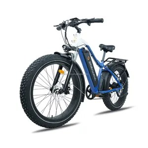 Electric Bicycle Dropship 48V 26 Inch 1000W Fat Tire Ebike For Sale