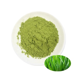Herbe de blé en poudre avec riche en fibres alimentaires Herbe de blé - Product Image 1