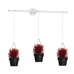 Indoor <strong>Herb</strong> Garden Hanging <strong>Planter</strong> 3-Piece <strong>Wall</strong>/Window Plant Hanger Flower Pots &amp; <strong>Planters</strong> for Indoor Use - Product Image 4