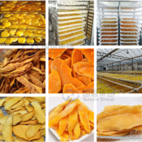 Fabrieksdirect multifunctionele automatische ananasdroogmachine, fruitdehydrator, ananasdroger