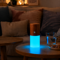 Lampe de chevet LED rechargeable en bois, blanc chaud, à changement de couleur RVB, avec contrôle tactile, intensité variable, pour chambre à coucher et décoration intérieure