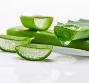 Kaliteli sıcak satış kozmetik çam kozalağı özü 100:1 Aloe Vera jel dondurularak kurutulmuş toz - Product Image 4