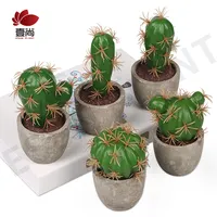 Artificiale Piante Grasse Piante di Cactus in Vaso in pasta di pot Set di 5 Piccolo cactus Piante per la Casa Ufficio decorazione ES0346-4
