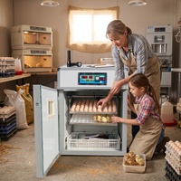 Équipement d'élevage avicole entièrement automatique, couveuse pour 176 œufs, machine d'incubation, incubateurs à œufs de poulet
