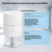 Diffuseur d'arômes ultrasonique silencieux 260 ml pour lampe de bureau, humidificateur avec minuterie et lumière froide/chaude pour usage domestique et commercial (vente en gros)
