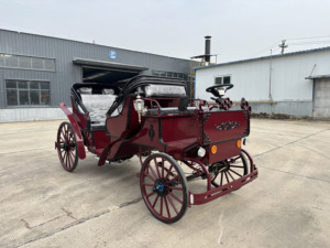Charrette de tourisme de luxe vintage royale victorienne, électrique et à chevaux, pour parcs équestres et attractions - Product Image 3