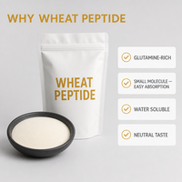 Poudre de Collagène Peptidique de Protéine de Blé Pure en Gros, Hydrolysée, Végétalienne, Oligopeptides, Enrichie en Glutamine, Facile à Absorber, OEM ODM