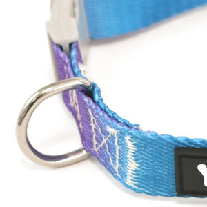 Ajusta el collar alrededor del cuello de tu mascota Collar y collarín para mascotas Rainbow Crescent Color 2.0 30-50cm - Product Image 5