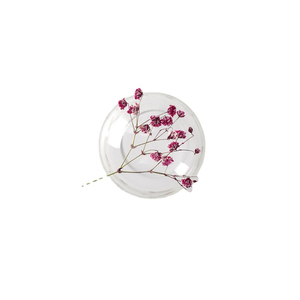Autocollants de fleurs séchées de Gypsophila paniculata véritable, pour bijoux floraux, ongles, Fête des Mères, Pâques, Noël - Product Image 1