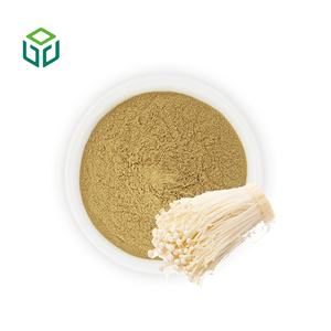 Pó de Extrato de Cogumelos <span class=keywords><strong>Enoki</strong></span> Flammulina Velutipes Orgânico de Grau Alimentício para Atacado em Embalagens de Garrafa/Lata/Tambor - Product Image 1