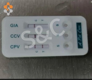 ペットケア獣医検査迅速診断キットペットヘリコバクターピロリクイックチェックキット猫<span class=keywords><strong>H</strong></span>.ピロリ犬テストストリップ - Product Image 5