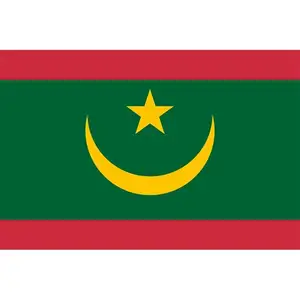 Huiyi Producto de Venta caliente 90*150cm Banderas NACIONALES DE Mauritania Promoción personalizada Elección Bandera de Mauritania