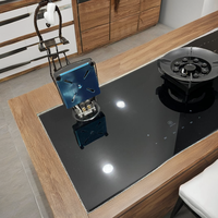 Appareil de cuisine en acier inoxydable tables de cuisson au gaz 2 brûleurs maison tenir bonne qualité haute puissance plaque de cuisson au gaz noir