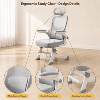 Chaise d'étude ergonomique pour enfants, chaise de bureau pour étudiants avec dossier double en maille respirante, pour la maison, la salle de classe, meubles