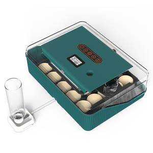 Mini automatique numérique incubateur plateau outils en plastique canard caille plateau équipement <span class=keywords><strong>oeufs</strong></span> <span class=keywords><strong>25</strong></span> oiseau volaille <span class=keywords><strong>oeufs</strong></span> incubateur à couver - Product Image 2