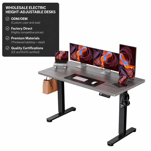 ALINUNU Wholesale Electric Standing Desk for Home Office Height Adjustable Office Computer Desk