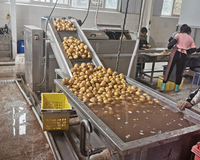 Ligne de production entièrement automatique de chips de pommes de terre, machine à frire pour légumes frais, fruits et produits à base de farine, pour les industries agricoles, certifiée CE