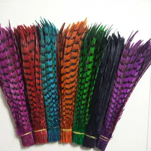 China Wholesale Dyed Venary pheasant tail feathers Colored carnival feathers pheasant feather for party event costume