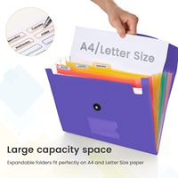 Dossiers de classement translucides colorés |   Porte-documents en plastique format A4 pour l'organisation à domicile et au bureau