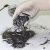 Poudre de graphite naturel extensible à 200 % / 300 % / 400 %, divers échantillons disponibles gratuitement