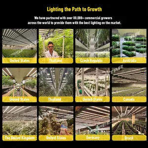 2024 نمط جديد 100 وات ضوء نمو led لوحة للزراعة المائية خيمة مع التحكم في الخفوت
