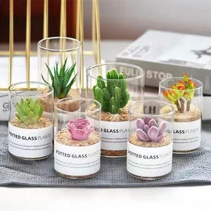 Vase en verre en pot à haute teneur en borosilicate cylindrique clair Pot de fleurs en verre d'<span class=keywords><strong>hydroculture</strong></span> succulente de Style européen nordique Simple - Product Image 5
