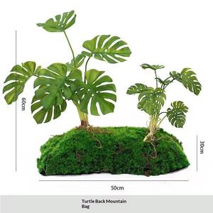 Muschio Artificiale per Decorazione Interna, <span class=keywords><strong>Prato</strong></span> Sintetico per Soggiorno, Paesaggistica in Miniatura 60cm/160cm 3.0kg - Product Image 6